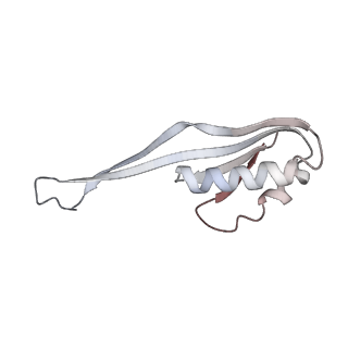 11325_6zon_h_v1-1
SARS-CoV-2 Nsp1 bound to a human 43S preinitiation ribosome complex - state 1