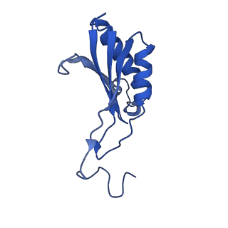 11325_6zon_i_v1-1
SARS-CoV-2 Nsp1 bound to a human 43S preinitiation ribosome complex - state 1