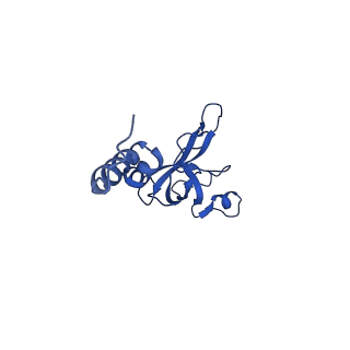 11325_6zon_j_v1-1
SARS-CoV-2 Nsp1 bound to a human 43S preinitiation ribosome complex - state 1
