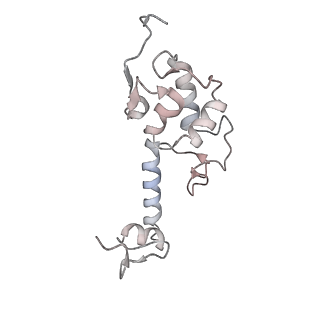 11325_6zon_k_v1-1
SARS-CoV-2 Nsp1 bound to a human 43S preinitiation ribosome complex - state 1