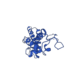 11325_6zon_m_v1-1
SARS-CoV-2 Nsp1 bound to a human 43S preinitiation ribosome complex - state 1