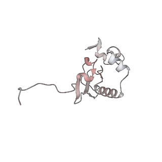 11325_6zon_o_v1-1
SARS-CoV-2 Nsp1 bound to a human 43S preinitiation ribosome complex - state 1