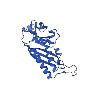11325_6zon_p_v1-1
SARS-CoV-2 Nsp1 bound to a human 43S preinitiation ribosome complex - state 1