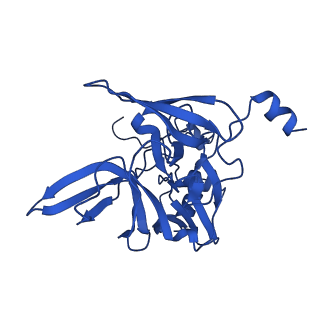 11325_6zon_q_v1-1
SARS-CoV-2 Nsp1 bound to a human 43S preinitiation ribosome complex - state 1