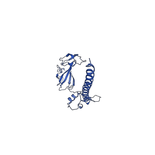 11325_6zon_r_v1-1
SARS-CoV-2 Nsp1 bound to a human 43S preinitiation ribosome complex - state 1