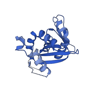 11325_6zon_s_v1-1
SARS-CoV-2 Nsp1 bound to a human 43S preinitiation ribosome complex - state 1
