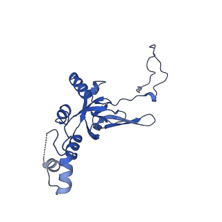 11325_6zon_t_v1-1
SARS-CoV-2 Nsp1 bound to a human 43S preinitiation ribosome complex - state 1