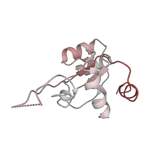 11325_6zon_v_v1-1
SARS-CoV-2 Nsp1 bound to a human 43S preinitiation ribosome complex - state 1