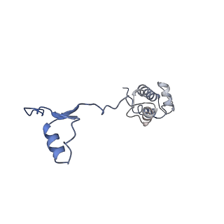11325_6zon_w_v1-1
SARS-CoV-2 Nsp1 bound to a human 43S preinitiation ribosome complex - state 1