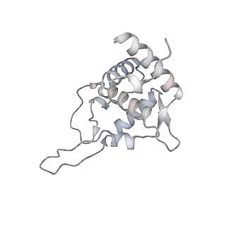 11325_6zon_x_v1-1
SARS-CoV-2 Nsp1 bound to a human 43S preinitiation ribosome complex - state 1