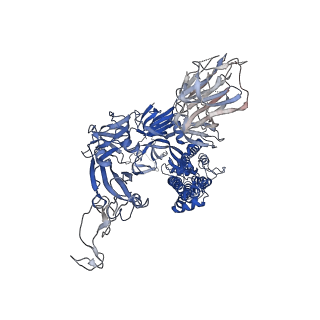 11329_6zox_A_v1-0
Structure of Disulphide-stabilized SARS-CoV-2 Spike Protein Trimer (x2 disulphide-bond mutant, G413C, V987C, single Arg S1/S2 cleavage site)
