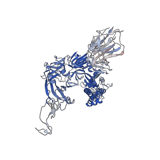 11329_6zox_A_v2-3
Structure of Disulphide-stabilized SARS-CoV-2 Spike Protein Trimer (x2 disulphide-bond mutant, G413C, V987C, single Arg S1/S2 cleavage site)