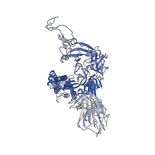 11329_6zox_C_v1-0
Structure of Disulphide-stabilized SARS-CoV-2 Spike Protein Trimer (x2 disulphide-bond mutant, G413C, V987C, single Arg S1/S2 cleavage site)