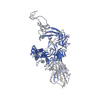 11329_6zox_C_v2-3
Structure of Disulphide-stabilized SARS-CoV-2 Spike Protein Trimer (x2 disulphide-bond mutant, G413C, V987C, single Arg S1/S2 cleavage site)