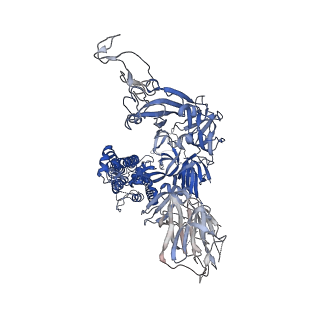 11329_6zox_C_v3-0
Structure of Disulphide-stabilized SARS-CoV-2 Spike Protein Trimer (x2 disulphide-bond mutant, G413C, V987C, single Arg S1/S2 cleavage site)