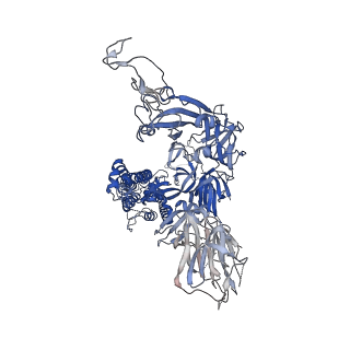 11329_6zox_C_v4-0
Structure of Disulphide-stabilized SARS-CoV-2 Spike Protein Trimer (x2 disulphide-bond mutant, G413C, V987C, single Arg S1/S2 cleavage site)