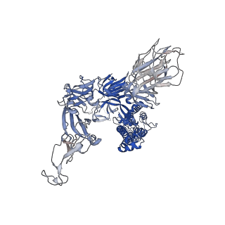 11330_6zoy_A_v1-0
Structure of Disulphide-stabilized SARS-CoV-2 Spike Protein Trimer (x1 disulphide-bond mutant, S383C, D985C, K986P, V987P, single Arg S1/S2 cleavage site) in Closed State