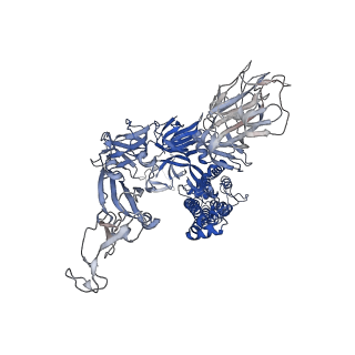 11330_6zoy_A_v2-3
Structure of Disulphide-stabilized SARS-CoV-2 Spike Protein Trimer (x1 disulphide-bond mutant, S383C, D985C, K986P, V987P, single Arg S1/S2 cleavage site) in Closed State