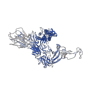 11330_6zoy_B_v1-0
Structure of Disulphide-stabilized SARS-CoV-2 Spike Protein Trimer (x1 disulphide-bond mutant, S383C, D985C, K986P, V987P, single Arg S1/S2 cleavage site) in Closed State