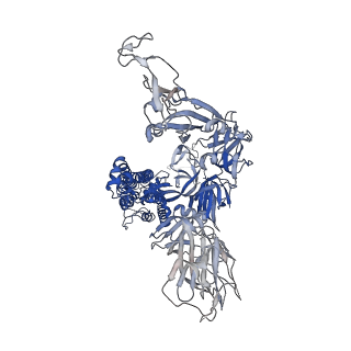 11330_6zoy_C_v1-0
Structure of Disulphide-stabilized SARS-CoV-2 Spike Protein Trimer (x1 disulphide-bond mutant, S383C, D985C, K986P, V987P, single Arg S1/S2 cleavage site) in Closed State