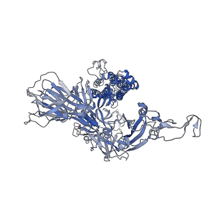 11331_6zoz_A_v1-0
Structure of Disulphide-stabilized SARS-CoV-2 Spike Protein Trimer (x1 disulphide-bond mutant, S383C, D985C, K986P, V987P, single Arg S1/S2 cleavage site) in Locked State