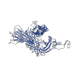 11331_6zoz_A_v5-0
Structure of Disulphide-stabilized SARS-CoV-2 Spike Protein Trimer (x1 disulphide-bond mutant, S383C, D985C, K986P, V987P, single Arg S1/S2 cleavage site) in Locked State