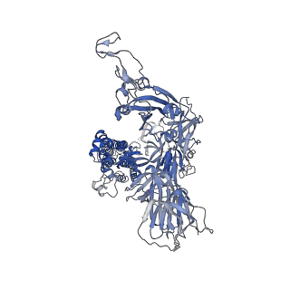 11331_6zoz_B_v1-0
Structure of Disulphide-stabilized SARS-CoV-2 Spike Protein Trimer (x1 disulphide-bond mutant, S383C, D985C, K986P, V987P, single Arg S1/S2 cleavage site) in Locked State