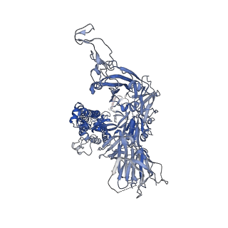 11331_6zoz_B_v5-0
Structure of Disulphide-stabilized SARS-CoV-2 Spike Protein Trimer (x1 disulphide-bond mutant, S383C, D985C, K986P, V987P, single Arg S1/S2 cleavage site) in Locked State