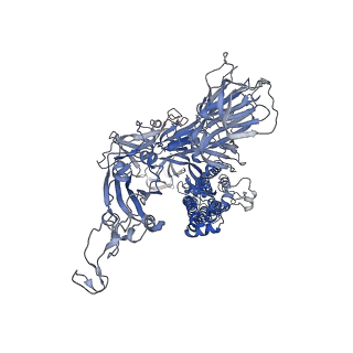 11331_6zoz_C_v1-0
Structure of Disulphide-stabilized SARS-CoV-2 Spike Protein Trimer (x1 disulphide-bond mutant, S383C, D985C, K986P, V987P, single Arg S1/S2 cleavage site) in Locked State