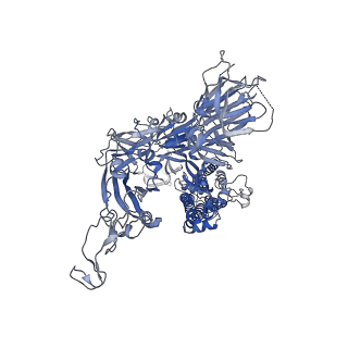 11331_6zoz_C_v5-0
Structure of Disulphide-stabilized SARS-CoV-2 Spike Protein Trimer (x1 disulphide-bond mutant, S383C, D985C, K986P, V987P, single Arg S1/S2 cleavage site) in Locked State