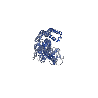 14844_7zo9_A_v1-1
cryo-EM structure of CGT ABC transporter in vanadate trapped state