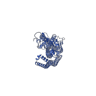 14844_7zo9_B_v1-1
cryo-EM structure of CGT ABC transporter in vanadate trapped state
