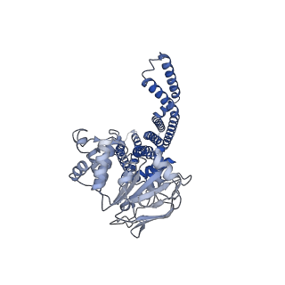 14845_7zoa_A_v1-1
cryo-EM structure of CGT ABC transporter in presence of CBG substrate