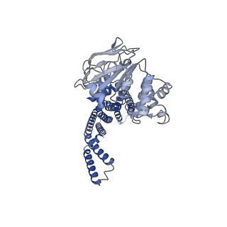 14845_7zoa_B_v1-1
cryo-EM structure of CGT ABC transporter in presence of CBG substrate