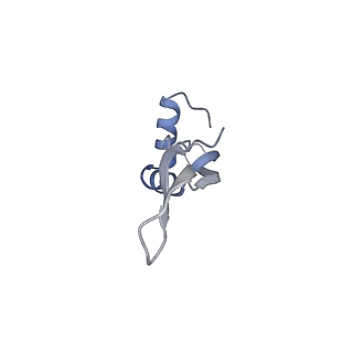 14846_7zod_0_v1-0
70S E. coli ribosome with an extended uL23 loop from Candidatus marinimicrobia