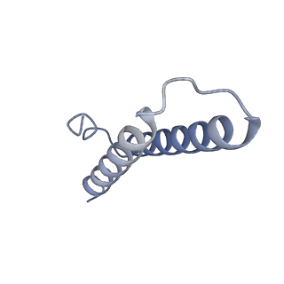 14846_7zod_1_v1-0
70S E. coli ribosome with an extended uL23 loop from Candidatus marinimicrobia