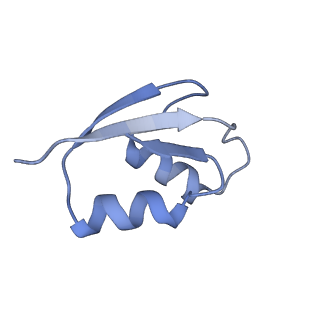 14846_7zod_2_v1-0
70S E. coli ribosome with an extended uL23 loop from Candidatus marinimicrobia
