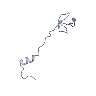 14846_7zod_3_v1-0
70S E. coli ribosome with an extended uL23 loop from Candidatus marinimicrobia