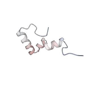 14846_7zod_6_v1-0
70S E. coli ribosome with an extended uL23 loop from Candidatus marinimicrobia