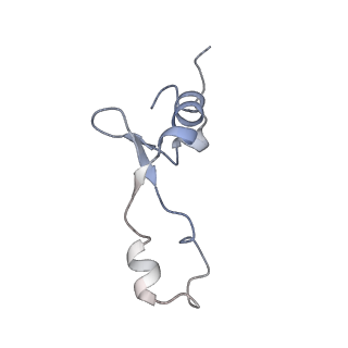 14846_7zod_7_v1-0
70S E. coli ribosome with an extended uL23 loop from Candidatus marinimicrobia