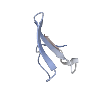 14846_7zod_8_v1-0
70S E. coli ribosome with an extended uL23 loop from Candidatus marinimicrobia