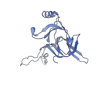 14846_7zod_d_v1-0
70S E. coli ribosome with an extended uL23 loop from Candidatus marinimicrobia