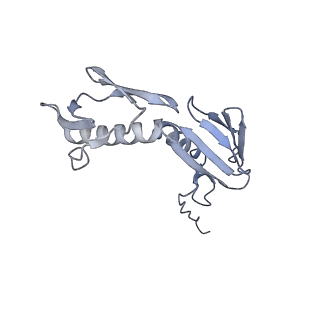 14846_7zod_g_v1-0
70S E. coli ribosome with an extended uL23 loop from Candidatus marinimicrobia