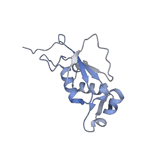 14846_7zod_j_v1-0
70S E. coli ribosome with an extended uL23 loop from Candidatus marinimicrobia