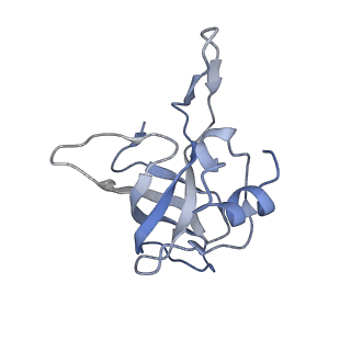 14846_7zod_k_v1-0
70S E. coli ribosome with an extended uL23 loop from Candidatus marinimicrobia