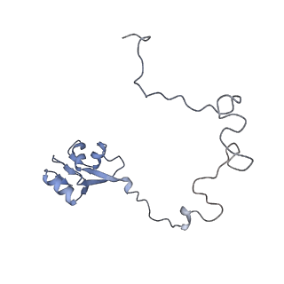 14846_7zod_l_v1-0
70S E. coli ribosome with an extended uL23 loop from Candidatus marinimicrobia