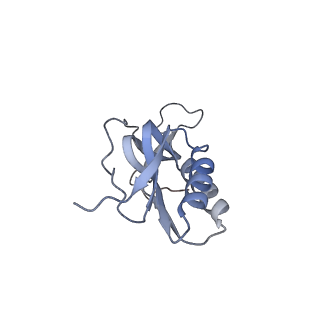 14846_7zod_m_v1-0
70S E. coli ribosome with an extended uL23 loop from Candidatus marinimicrobia