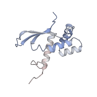 14846_7zod_n_v1-0
70S E. coli ribosome with an extended uL23 loop from Candidatus marinimicrobia