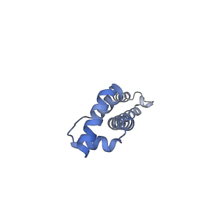 14846_7zod_q_v1-0
70S E. coli ribosome with an extended uL23 loop from Candidatus marinimicrobia