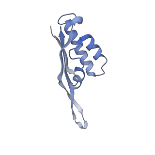 14846_7zod_s_v1-0
70S E. coli ribosome with an extended uL23 loop from Candidatus marinimicrobia